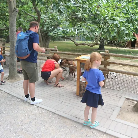 La Zattera アパート *