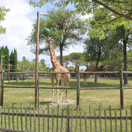 Апартаменты La Zattera Линьяно-Саббьядоро